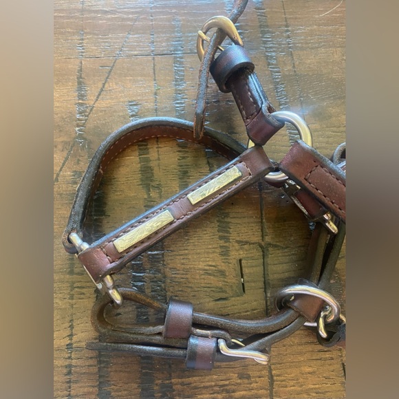 Vintage horse show halter (leather with sterling silver accents). Weanling size - Picture 6 of 12